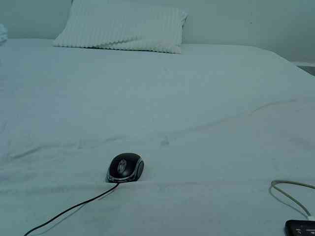 sweetberyl254 webcam
