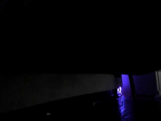 AMMBER-HONEY