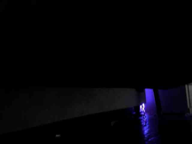 AMMBER-HONEY webcam