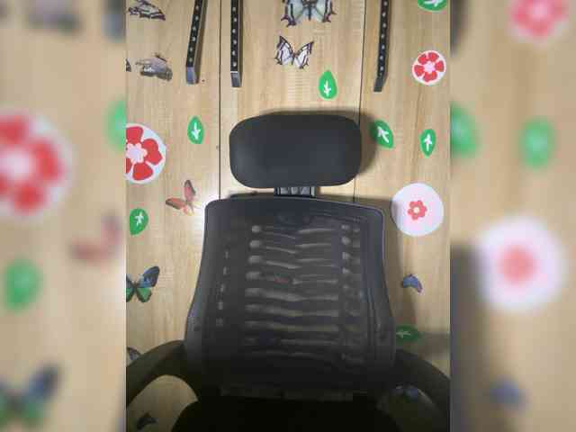 CharmingAura2 webcam