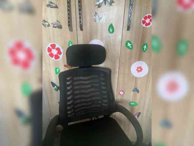 CharmingAura2 webcam