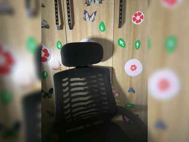 CharmingAura2 webcam