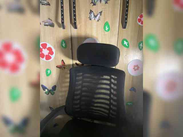 CharmingAura2 webcam