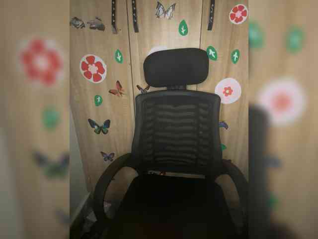 CharmingAura2 webcam