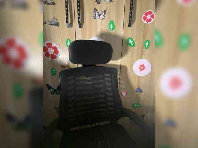 CharmingAura2 webcam