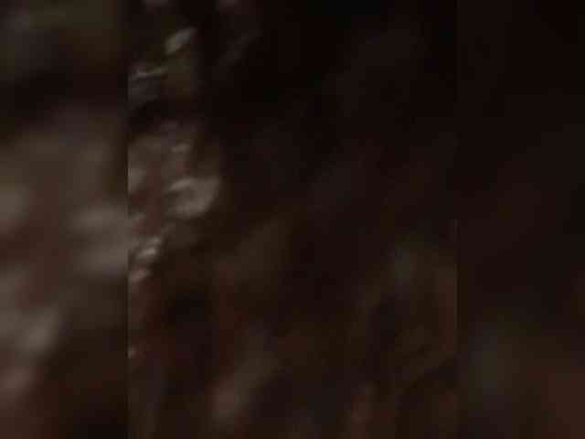 CharmingAura2 webcam
