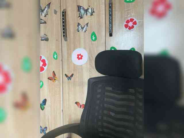 CharmingAura2 webcam