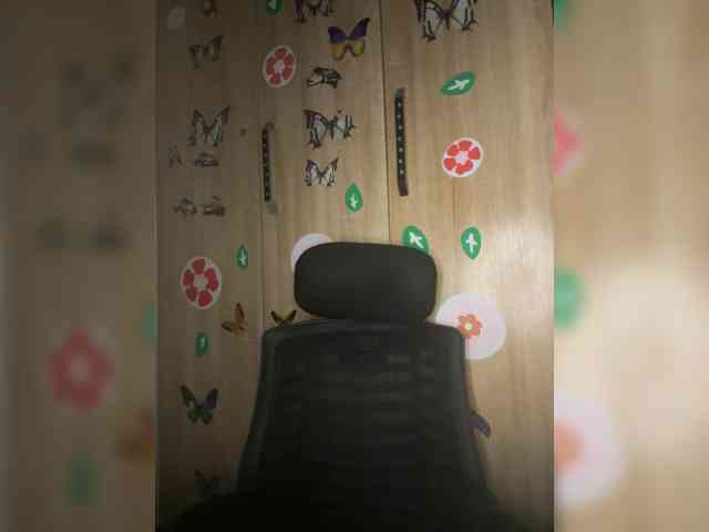 CharmingAura2 webcam