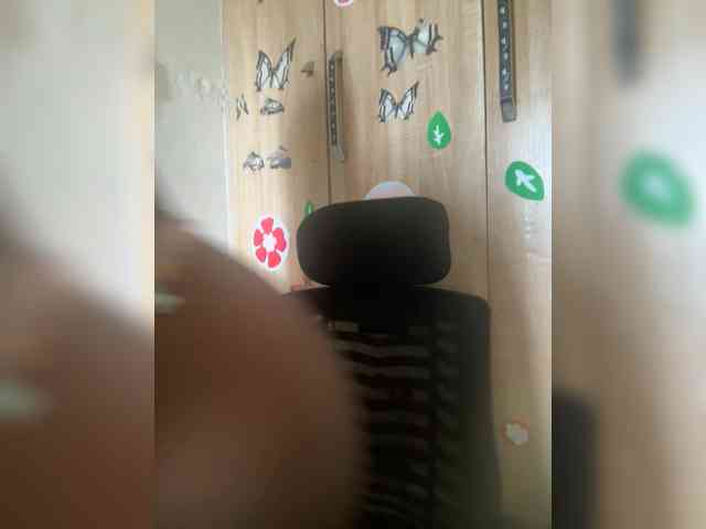 CharmingAura2 webcam