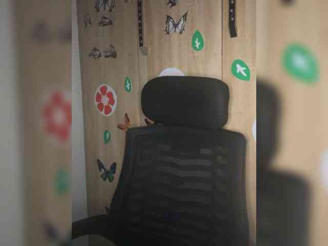 CharmingAura2 webcam