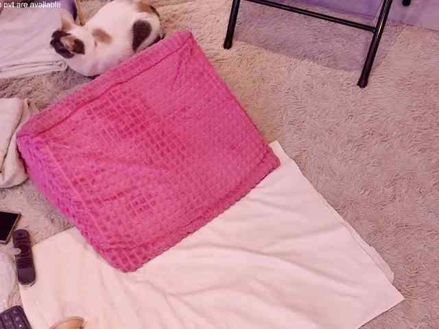 Pink-flower webcam
