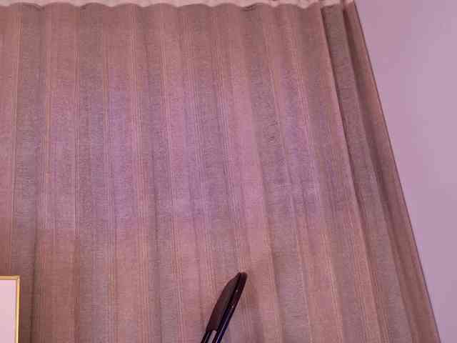 Pink-flower webcam