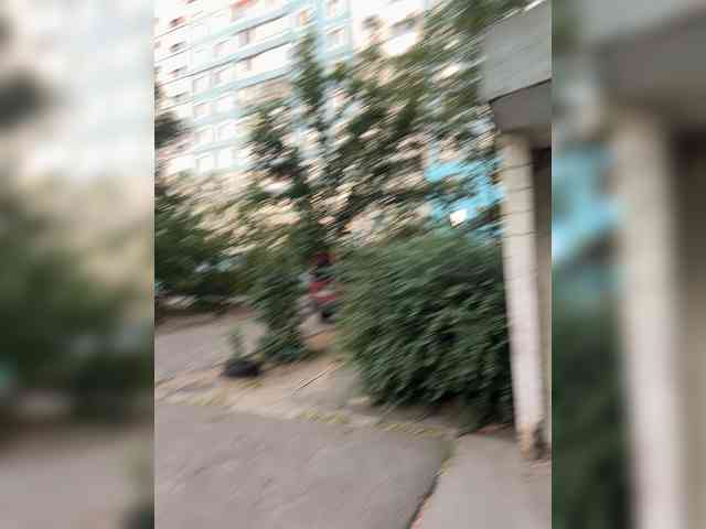 Ssenuyor