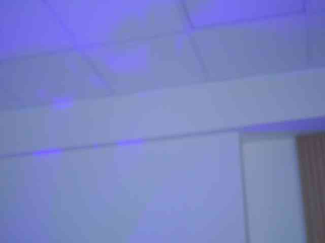 GoldieMaren webcam