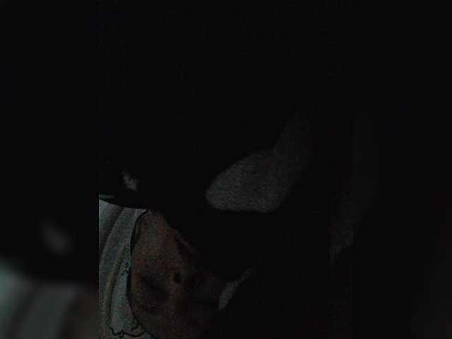 -Meowscarade-