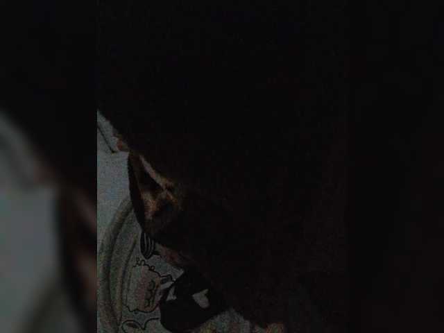 -meowscarade-