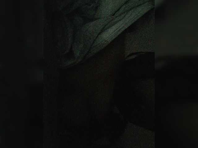 -meowscarade-