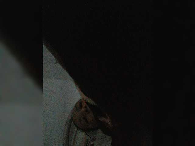 -Meowscarade- live cam on BongaCams
