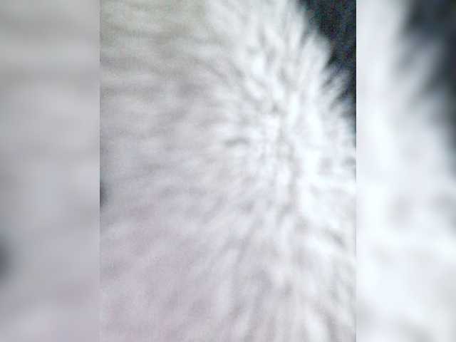 -meowscarade-
