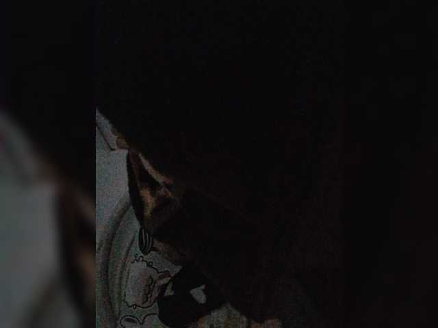 -Meowscarade-