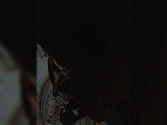 -meowscarade-