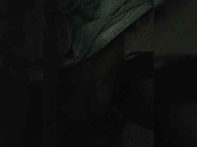 -meowscarade- webcam