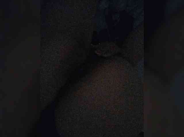 -meowscarade- webcam