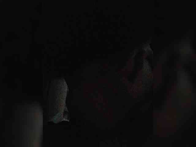 -meowscarade- webcam