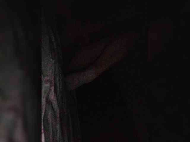 モデル: -meowscarade-