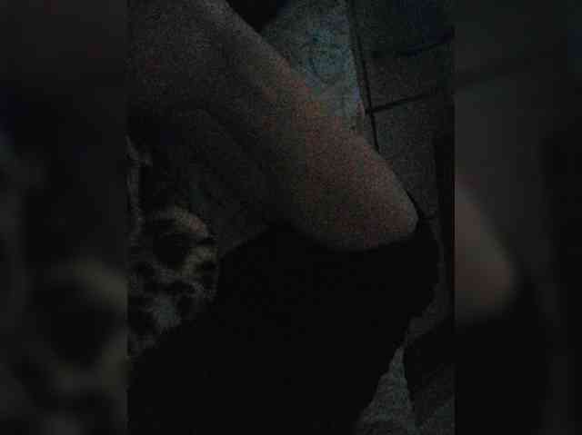 -meowscarade-