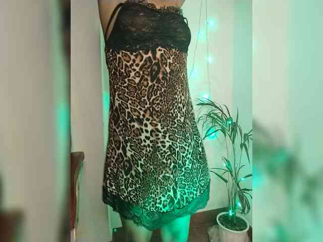 Doll69 webcam