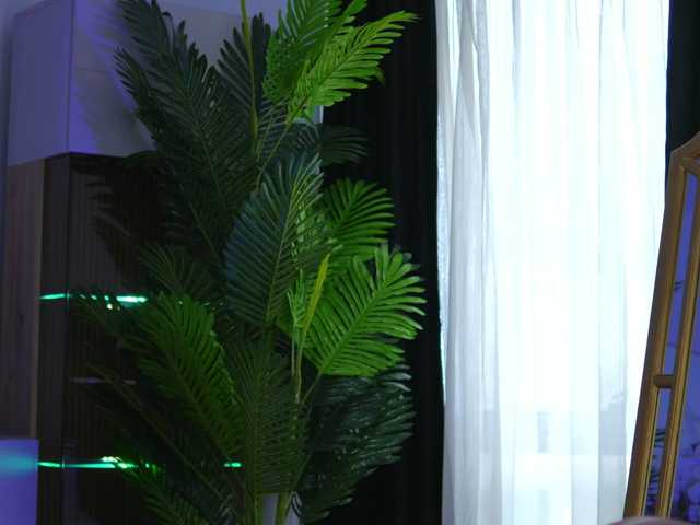 AlyonaKatya live cam