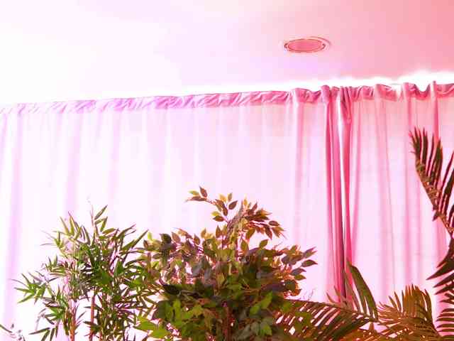 RosalieFleur webcam