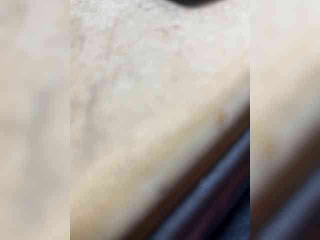 nyadere webcam