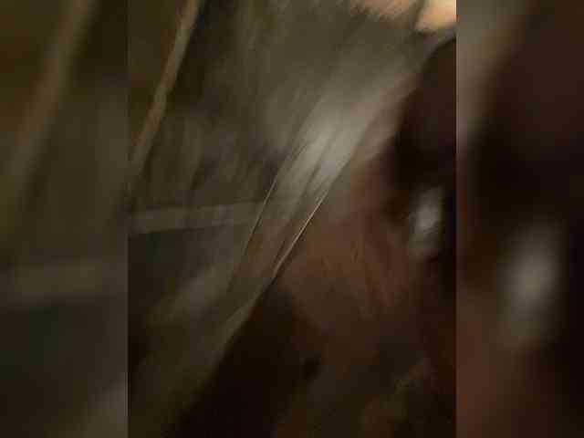 MiaDiva webcam