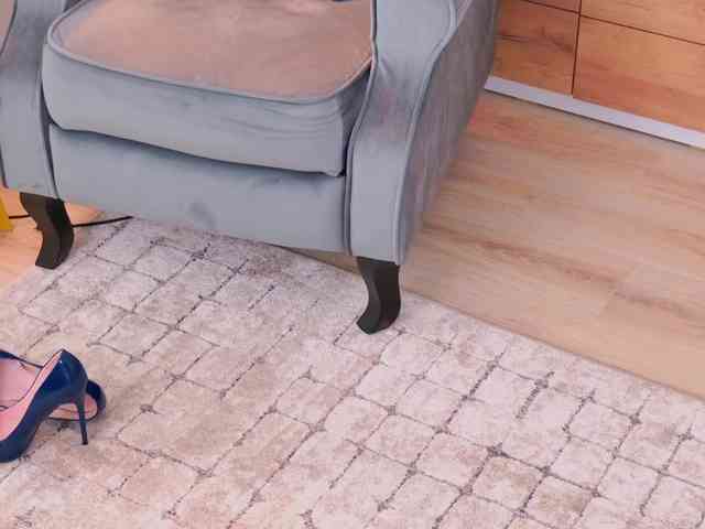 AryaEve webcam