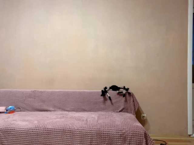 MaribelNemerofsky live cam on BongaCams