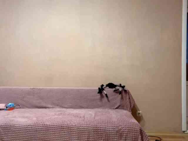 MaribelNemerofsky webcam