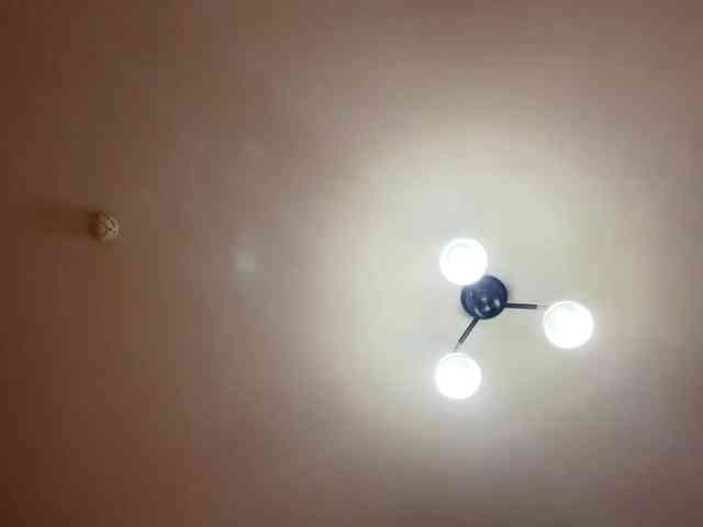 MaribelNemerofsky webcam