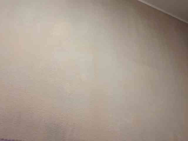 MaribelNemerofsky webcam