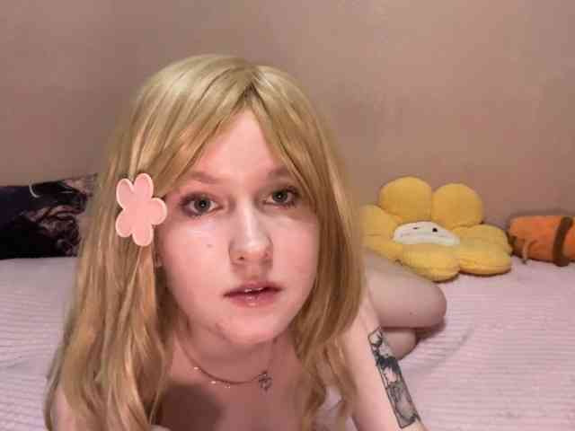 Modelo: MaribelNemerofsky