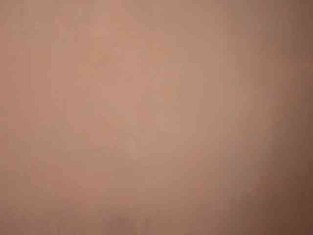 MaribelNemerofsky webcam