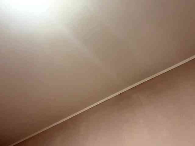 MaribelNemerofsky webcam