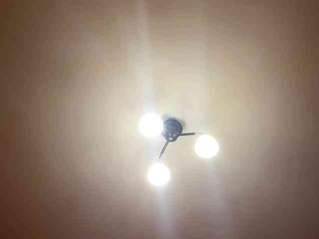 MaribelNemerofsky webcam
