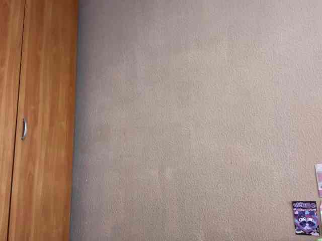 MaribelNemerofsky webcam