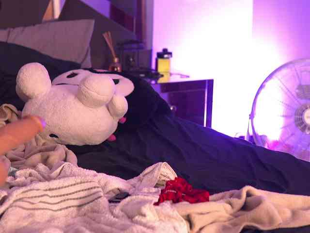 isaantonia webcam
