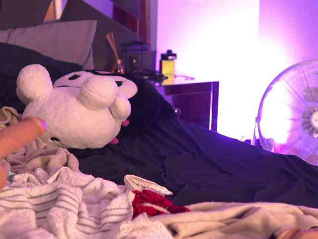 isaantonia webcam
