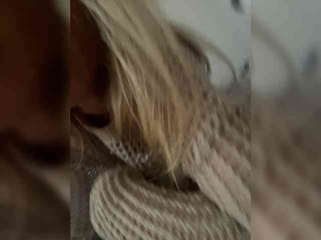 EvaaLove webcam
