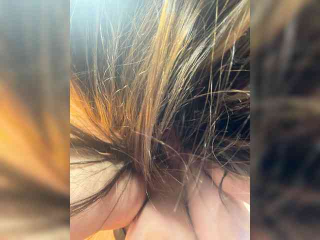 Alisaay webcam