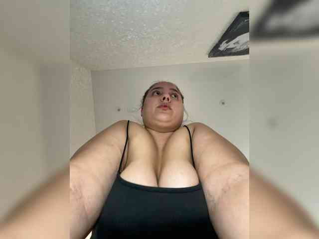 Alisaay webcam